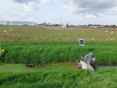 Samen voor water in het Waasland