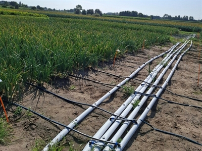 Wil je advies rond fertigatie in vollegrond?