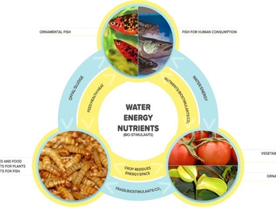 Kick-off AEP-Pulse: van reststroom tot grondstof - Rumbeke-Beitem