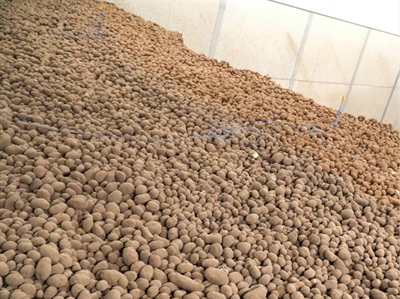 Stabiele temperaturen en kiemlustige aardappelen