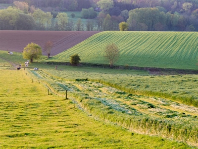 Infomarkt Landbouw gaat de uitdagingen van de toekomst tegemoet - Maarkedal