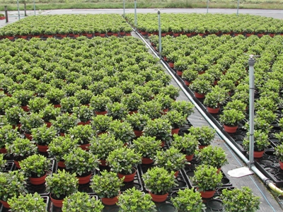 Noodtoelating Radia 7882 goedgekeurd voor 2026