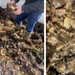 Praktijkdemonstratie Bokashi maken met prei – Kruisem