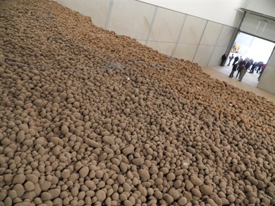 Oplopende temperaturen en succesvolle kiemremming