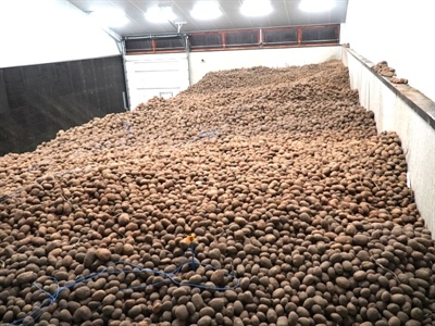 Afzet vrije aardappelen