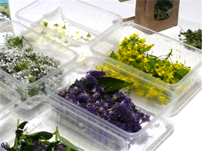 Infofiches eetbare bloemen