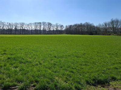 Gezocht: landbouwers die willen inzetten op meer weerbare landbouwsystemen