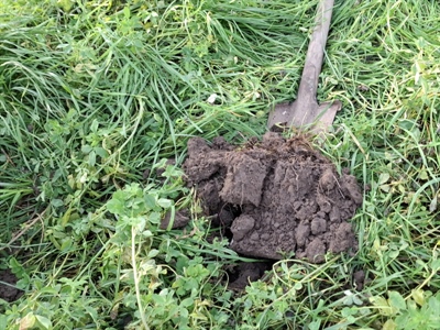 Webinar Wat is regeneratieve landbouw? - Online