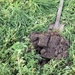 Webinar Wat is regeneratieve landbouw? - Online