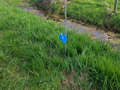 Uitval op jouw uienperceel? Laat het ons weten!