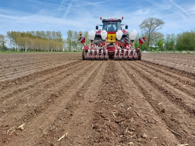 Het uienseizoen 2026 gaat van start