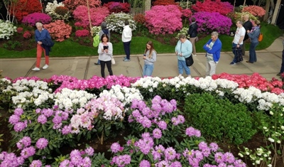 Floraliën Gent 2026: dé hotspot voor sierteelt en groenvoorziening