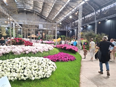 Bloemenpracht lokt 75.000 bezoekers naar Floraliën Gent