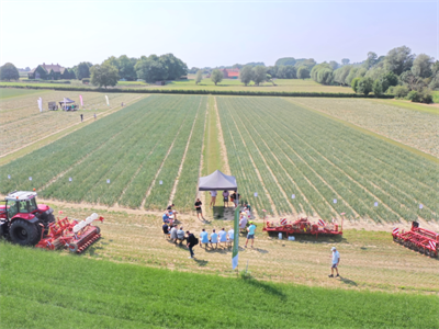 Save the date: Aardappel- en Uiendag - Kruisem