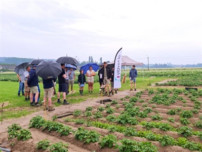 Eerste resultaten erosieproef in aardappelen voorgesteld tijdens proefveldbezoek