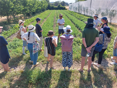 Kick-off en aanleg van de demotuin van het project EcoGreation