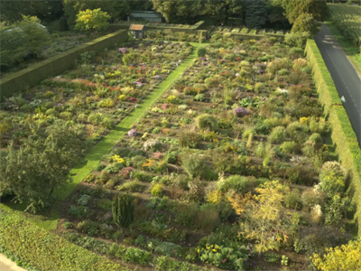 Inspiratiedag Biologische vasteplantenteelt - Doorn-Ede (Nederland)