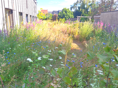 Fieldlab Groen: living lab voor een meer natuurlijke groenvoorziening in Vlaanderen