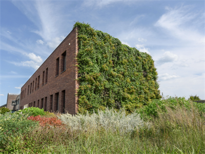 Lancering nieuwe add-onformules GroenGek(l)eurd kwaliteitslabel – Gent