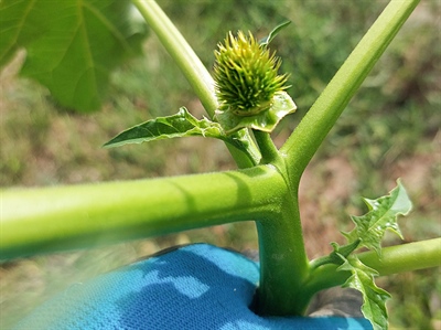 De 5 meest gestelde vragen deze week…