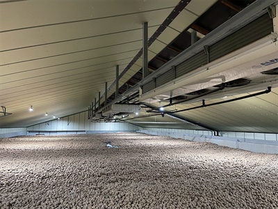 Terugblik bewaarseizoen 2025-2026: kiemremming, frietkleur en gewichtsverlies geëvalueerd