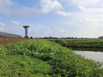 Uitwisselingsmoment Beheer van beschermingsstroken - Sint-Jan-in-Eremo