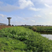 Uitwisselingsmoment Beheer van beschermingsstroken - Sint-Jan-in-Eremo