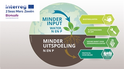 Bio4safe: gebruik van biostimulanten en innovatieve meetsensoren om water- en nutriëntenverbruik te verminderen