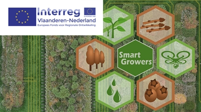 Smart Growers: slimme automatisatie, robotisatie en ICT-toepassingen voor boomkwekerij, asperge en blauwe bes