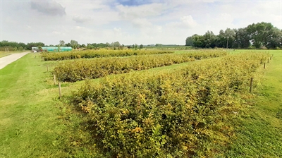 CLOSECYCLE: kringlopen sluiten met producten uit biologische reststromen op regionaal niveau