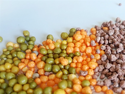 Naar een duurzame stikstofbemesting in de sierteelt met oog voor plantkwaliteit en milieu