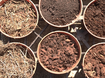 Bi-o-ptimal@work: duurzaam telen via lokale additieven met verhoogd microbieel leven