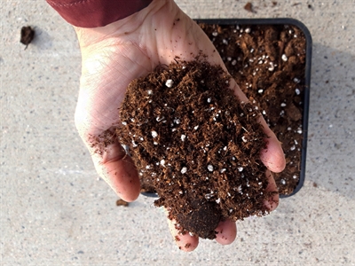 RE-PEAT: hergebruik van teeltsubstraten voor een circulaire tuinbouw