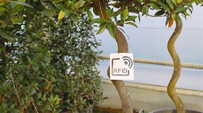 RFID in de boomkwekerij