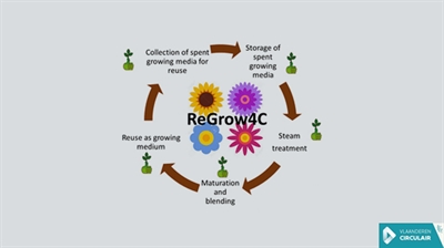 ReGrow4C: hergebruik van teeltsubstraten voor een circulaire (sier)teelt