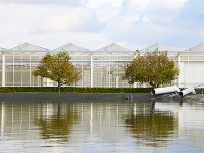 Slimme combinatie van teeltkeuze en technologie voor een rendabele klimaatrobuuste land- en tuinbouw