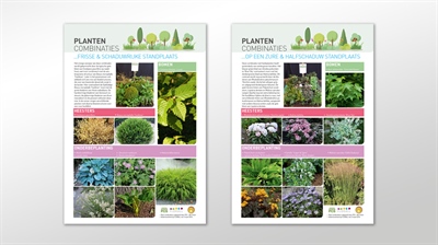 Informatiefiches plantencombinaties