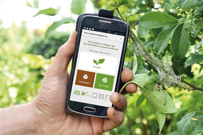 'Ziekten en Plagen' app: herken zelf parasieten en nuttigen op sierplanten