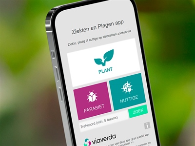 'Ziekten en Plagen' app: herken zelf parasieten en nuttigen op sierplanten