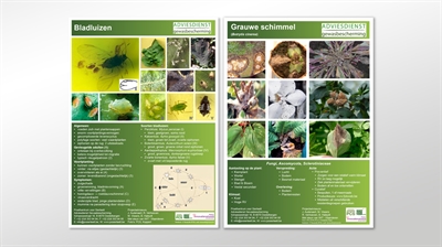 Infofiches plagen en ziekten in de glastuinbouw