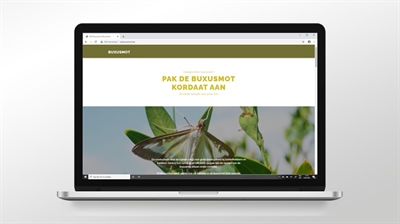 Website SOS Buxusmot: plaagbeheersing in tuinen