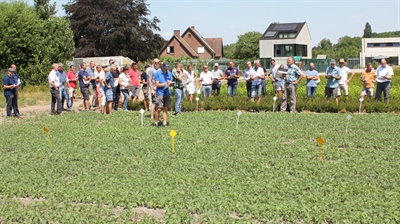 Presentaties Studiedag Boomkwekerij 2021