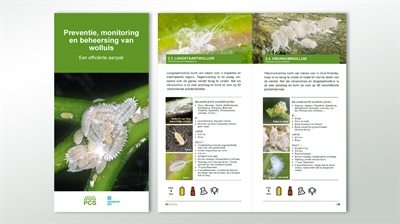 Brochure ‘Preventie, monitoring en beheersing van wolluis'