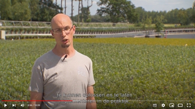 Filmpje Innovatieve plaagbeheersing in de sierteelt - Tournée Provinciale