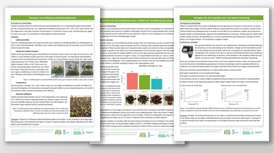 Infofiches Atmo-Flor: bewaartechnologieën voor behoud van kwaliteit doorheen de sierteeltketen