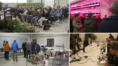 Presentaties Studiedag Azalea & Rhododendron 2023