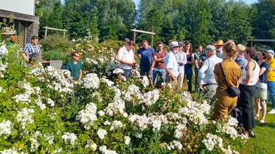 Presentaties lerend netwerkmoment 'Assortiment in natuurlijke tuinen'