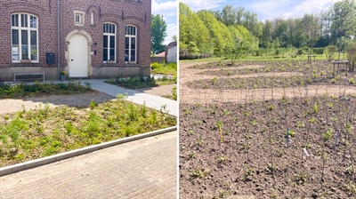 Ontwerp en aanleg van twee natuurlijke demotuinen