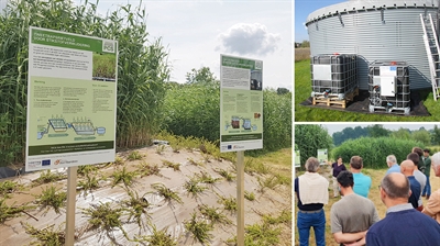 Infoborden '2-in-1 filter voor stikstof- en fosforverwijdering' en 'Tweetrapsrietveld'