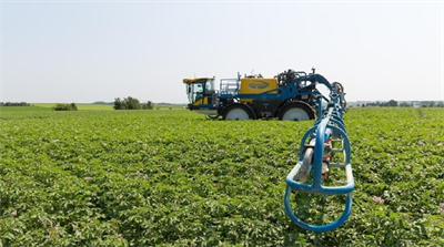 Kostenefficiënt naar een duurzame aardappelteelt in 2030